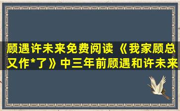 顾遇许未来免费阅读 《我家顾总又作死了》中三年前顾遇和许未来有什么误会